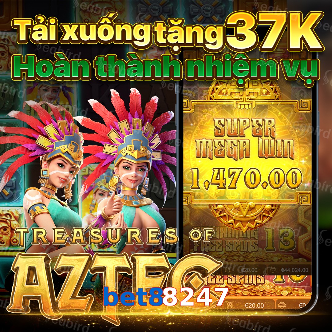 bet88247