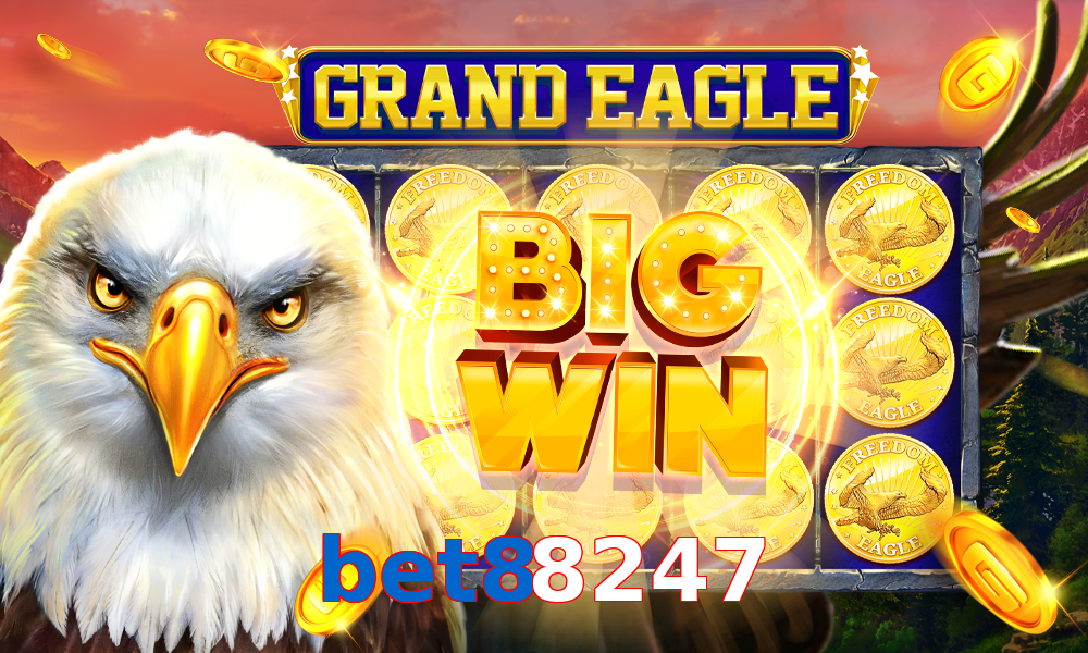 bet88247