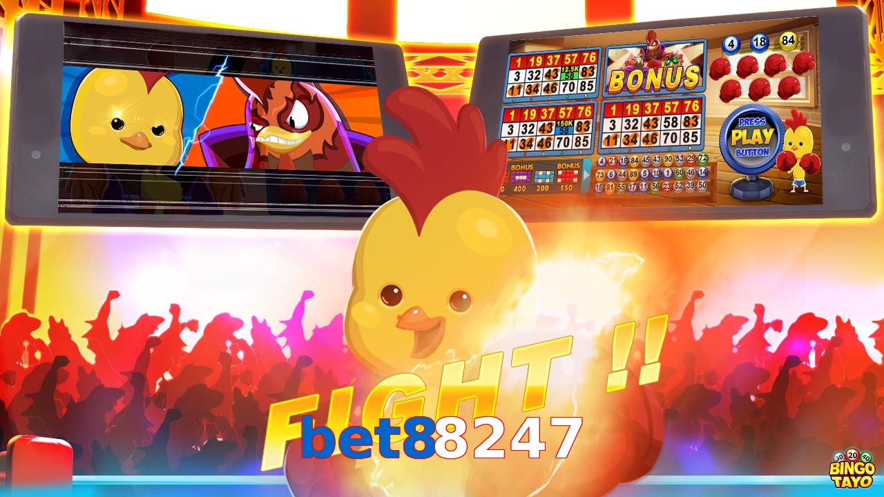 bet88247