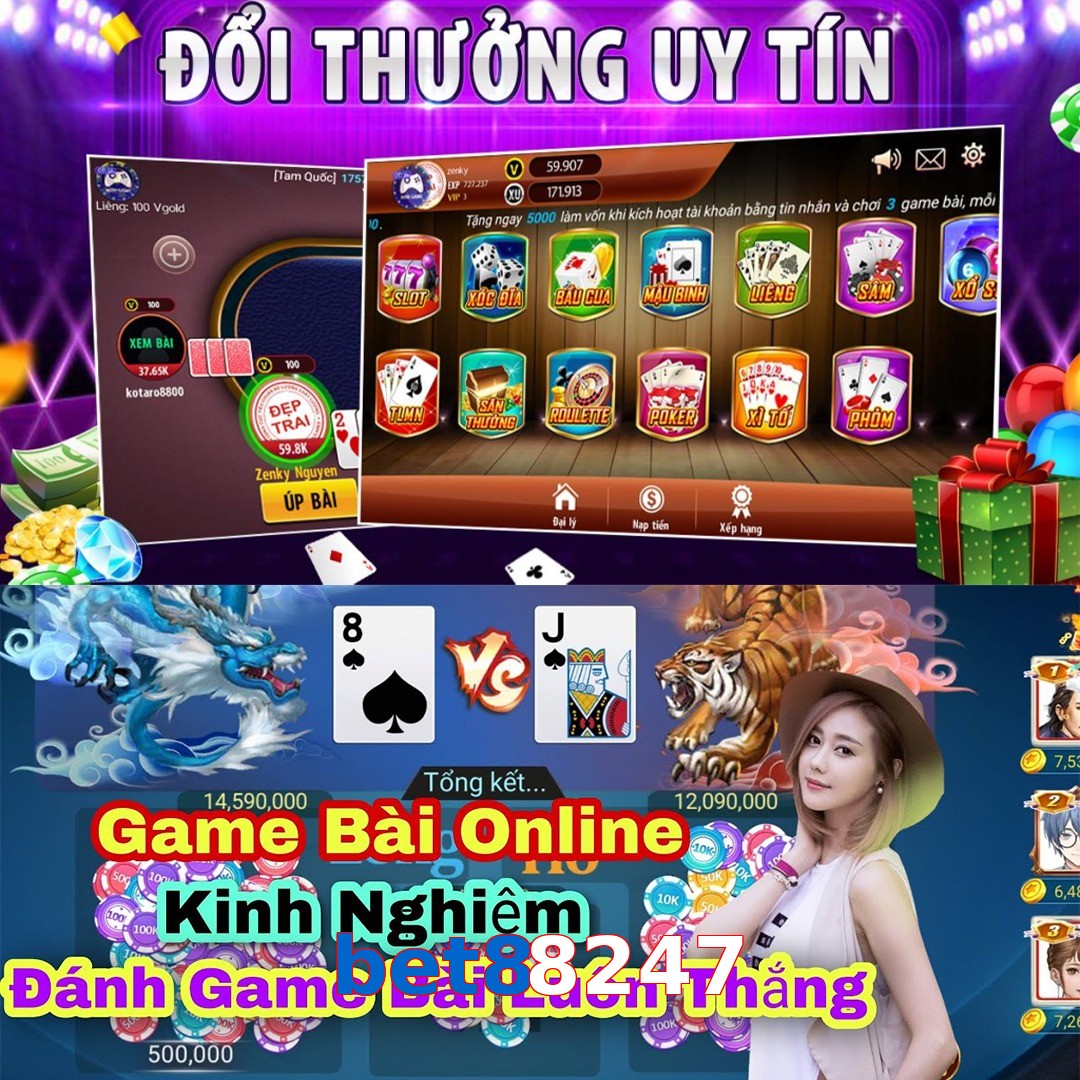 bet88247