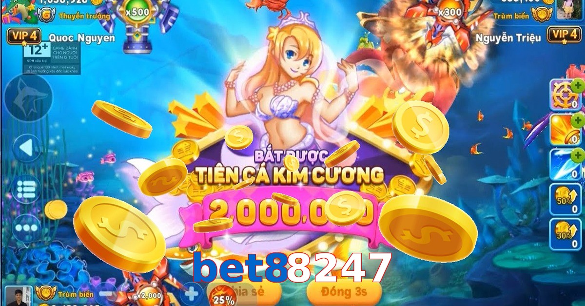 bet88247