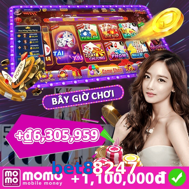 bet88247