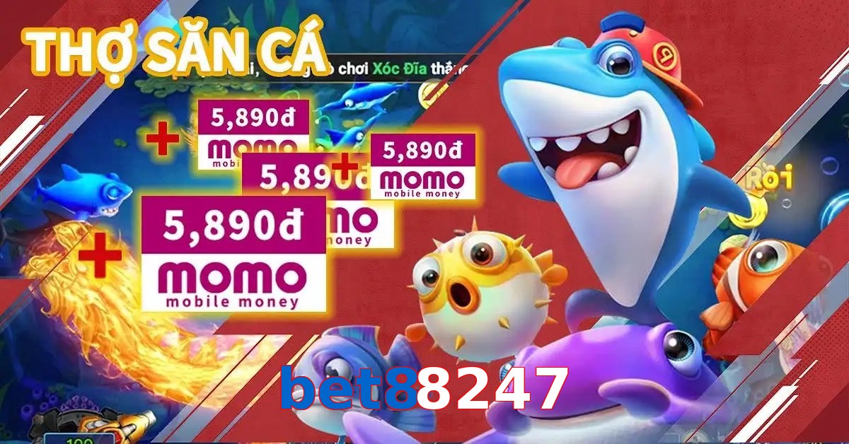 bet88247