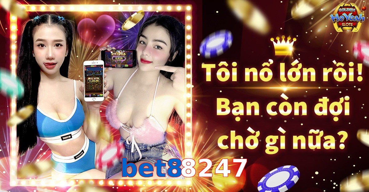 bet88247