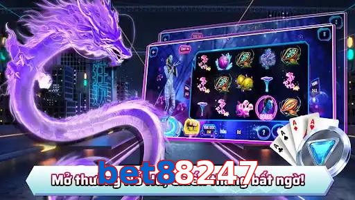 bet88247