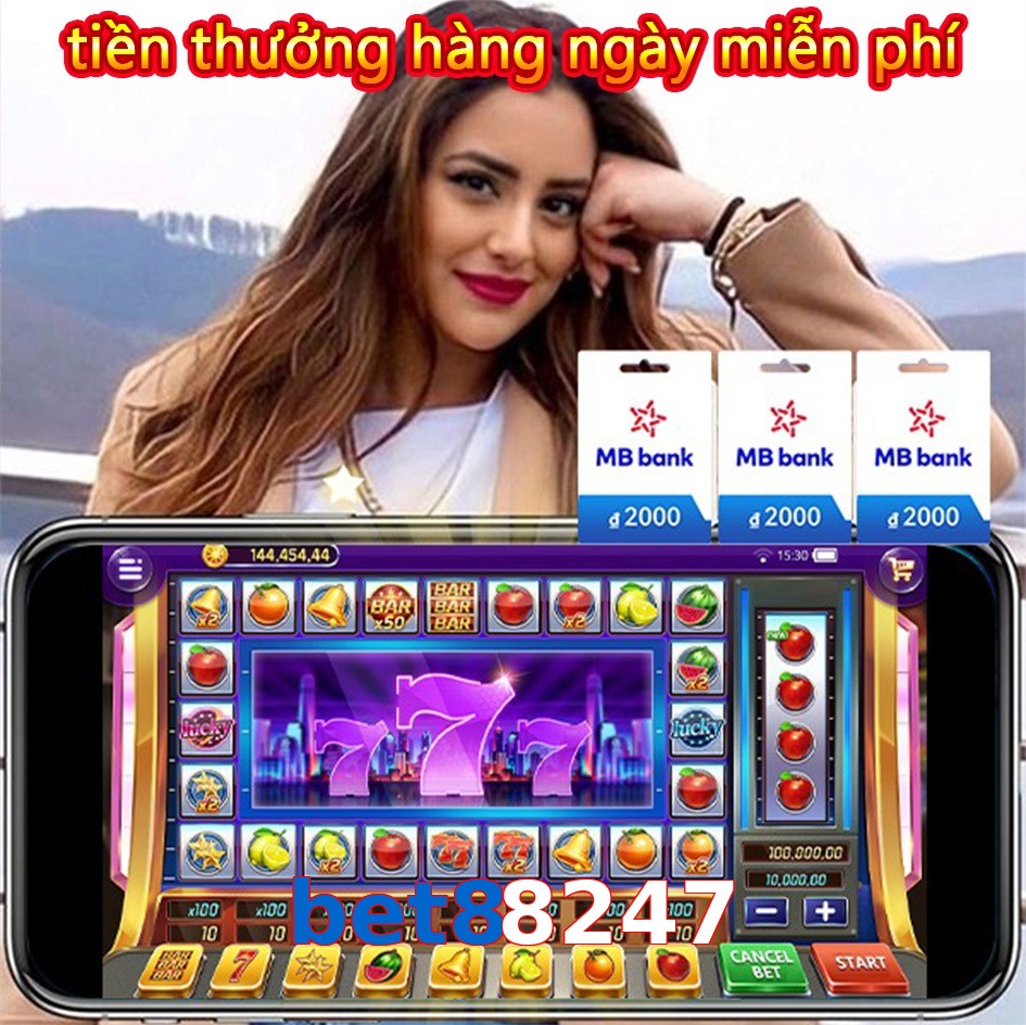 bet88247